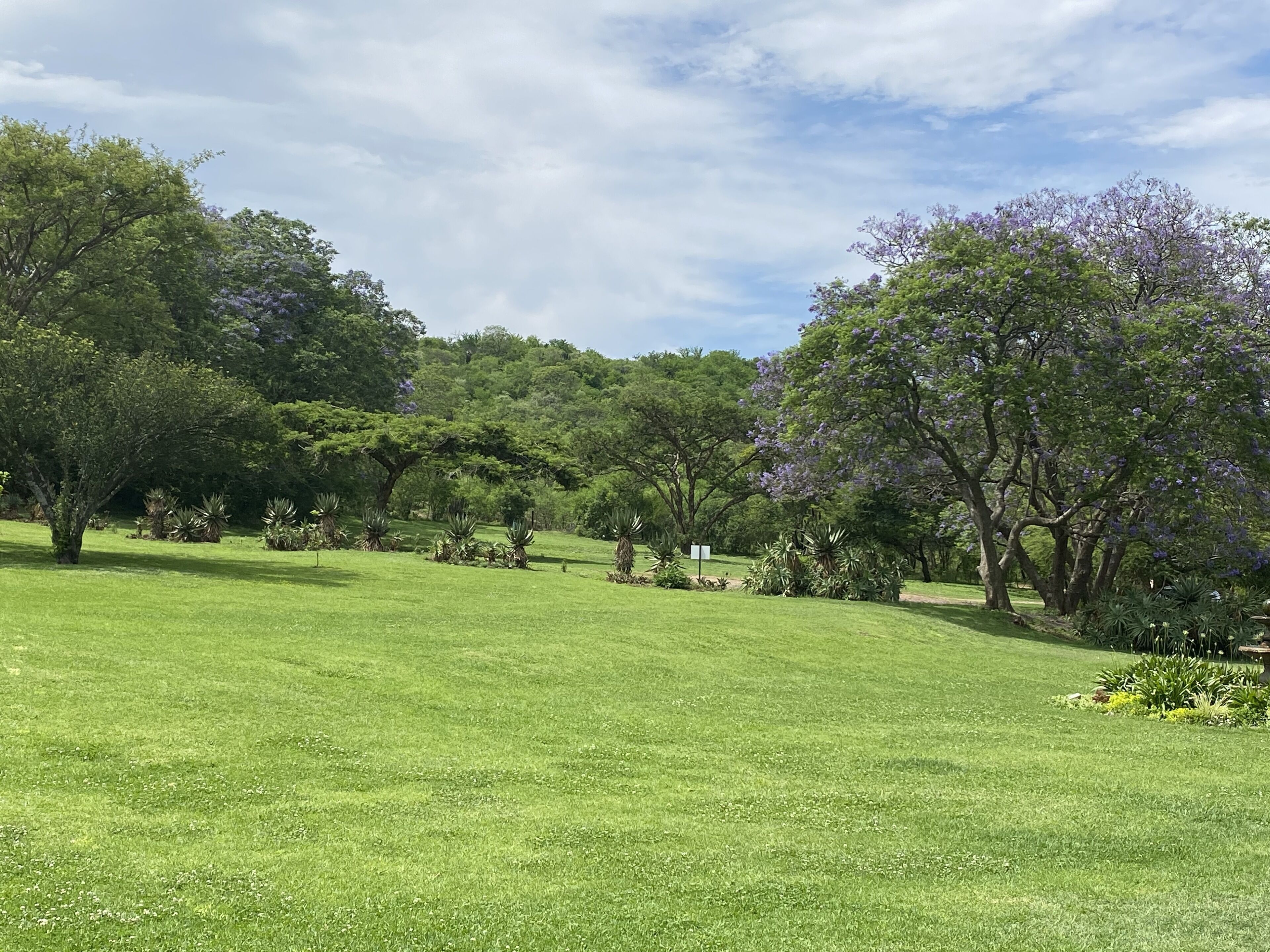 SpionKop Lodge