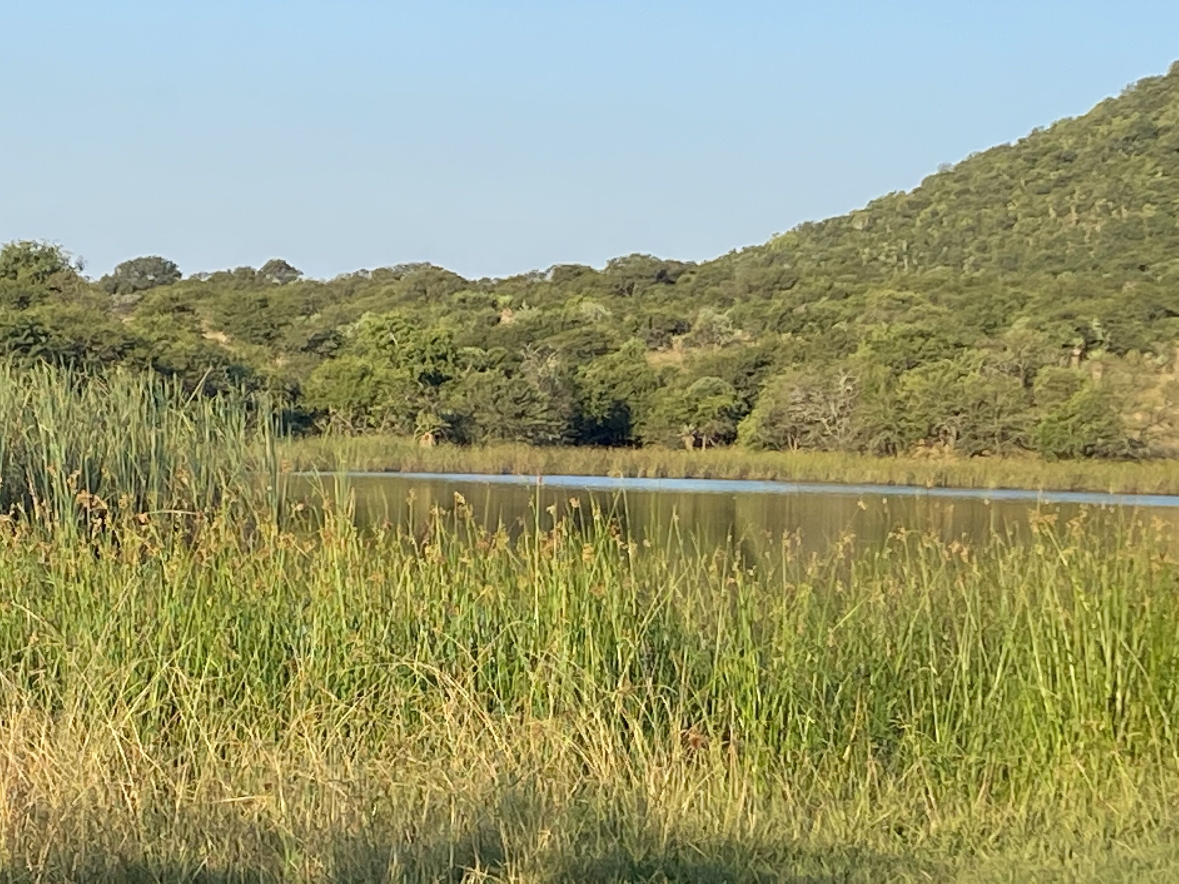 SpionKop Lodge