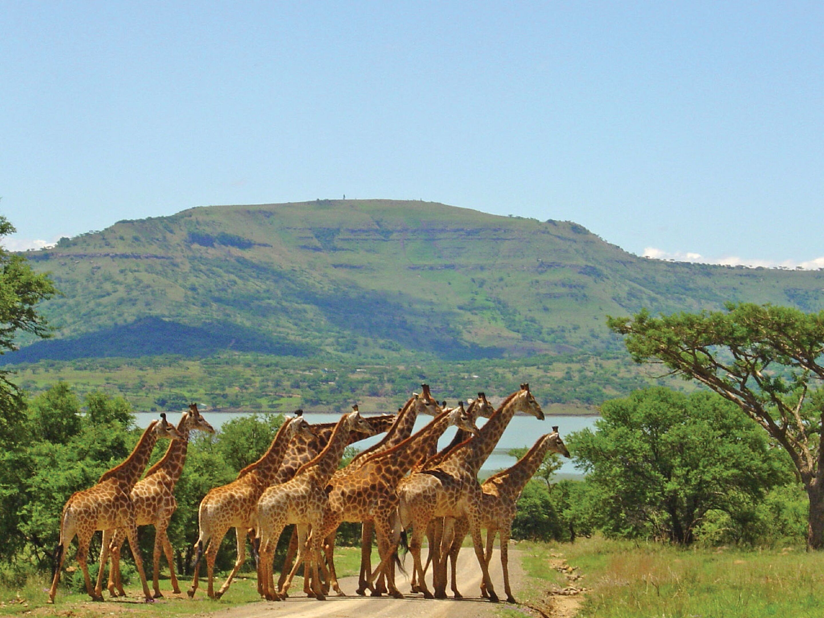 SpionKop Lodge