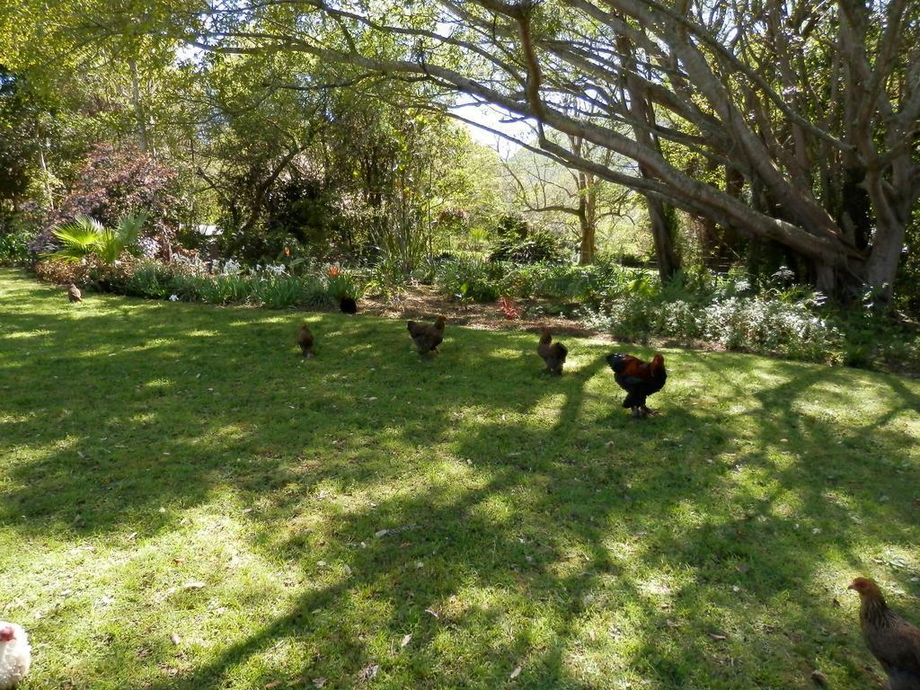 Braeside Guest House