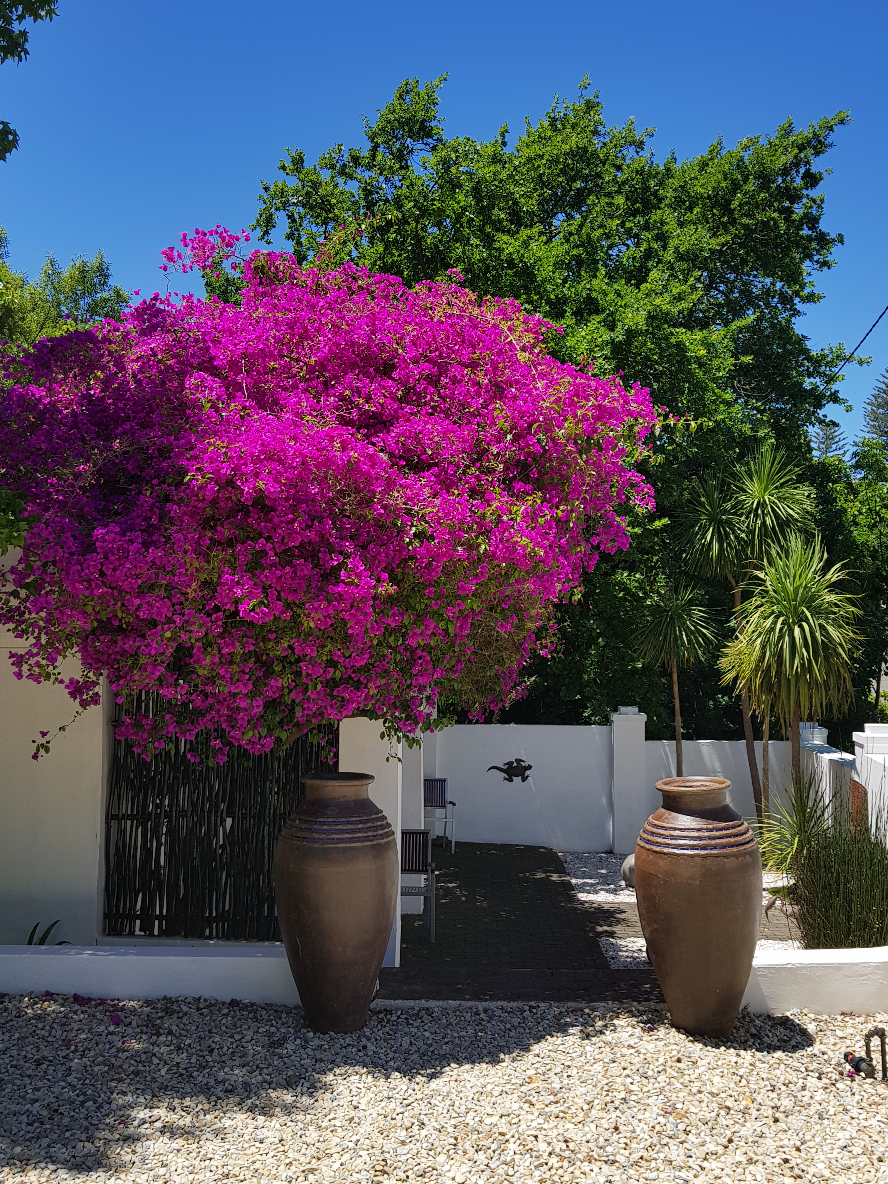 De Kloof Luxury Estate