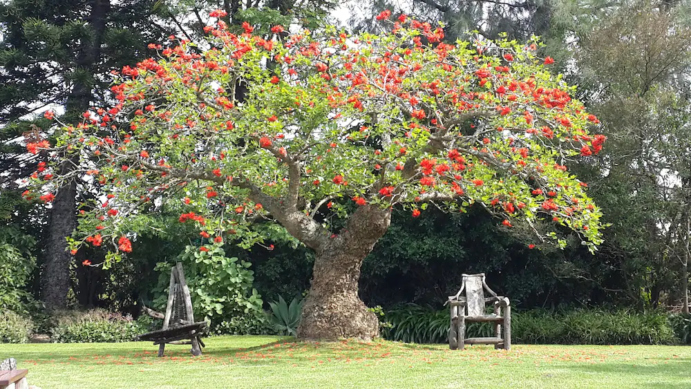 Marula Lodge Guesthouse