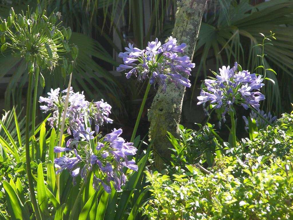Swellendam Country Lodge