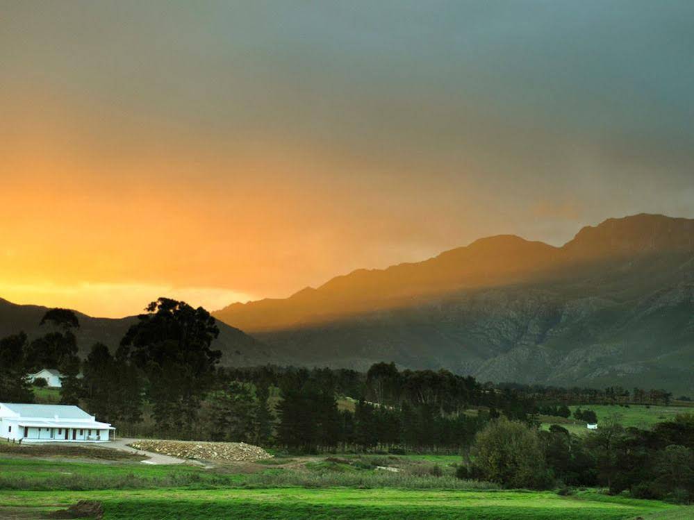 Endless Vineyards Boutique Lodge