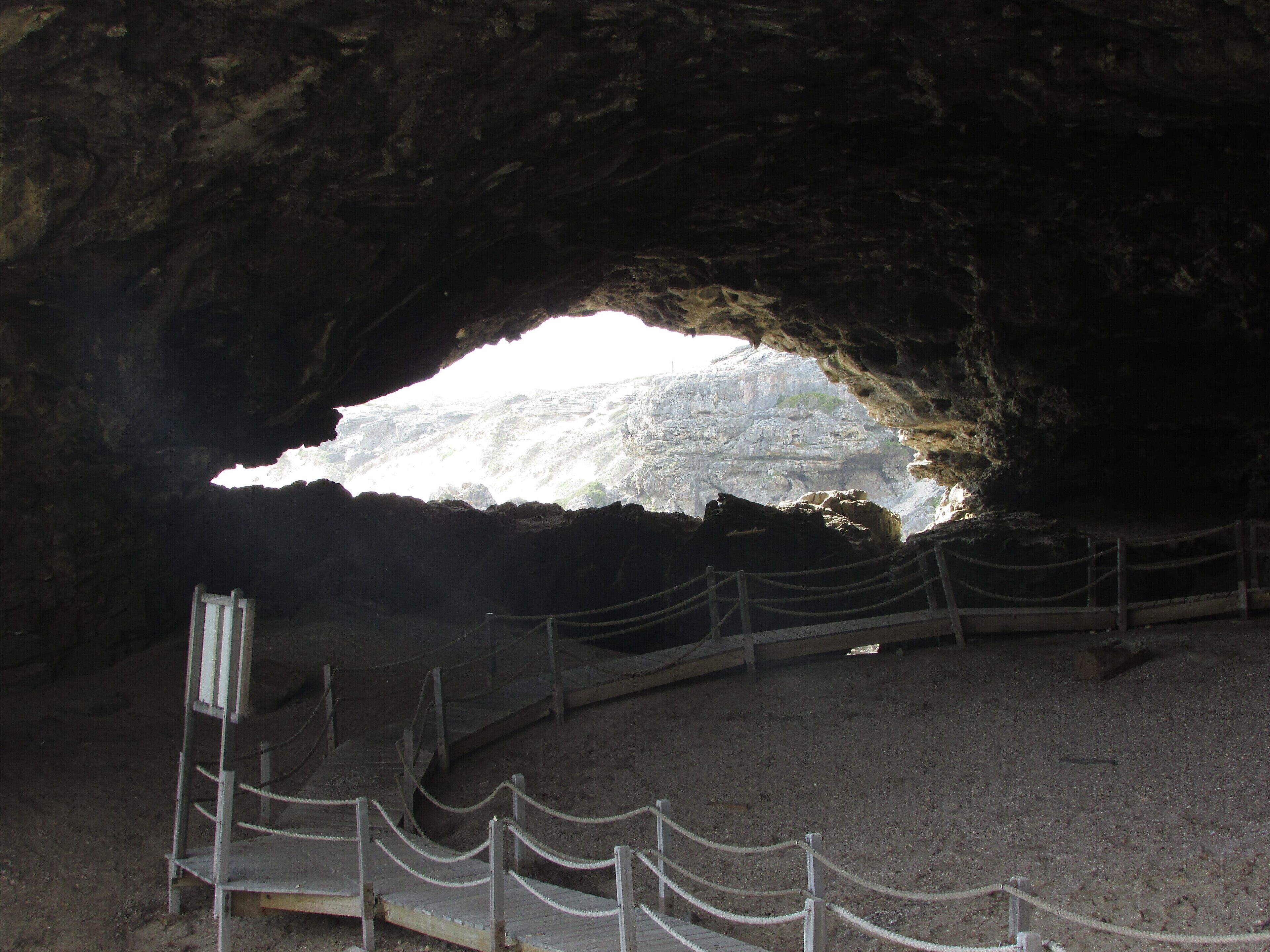 Whale Watch Accommodation