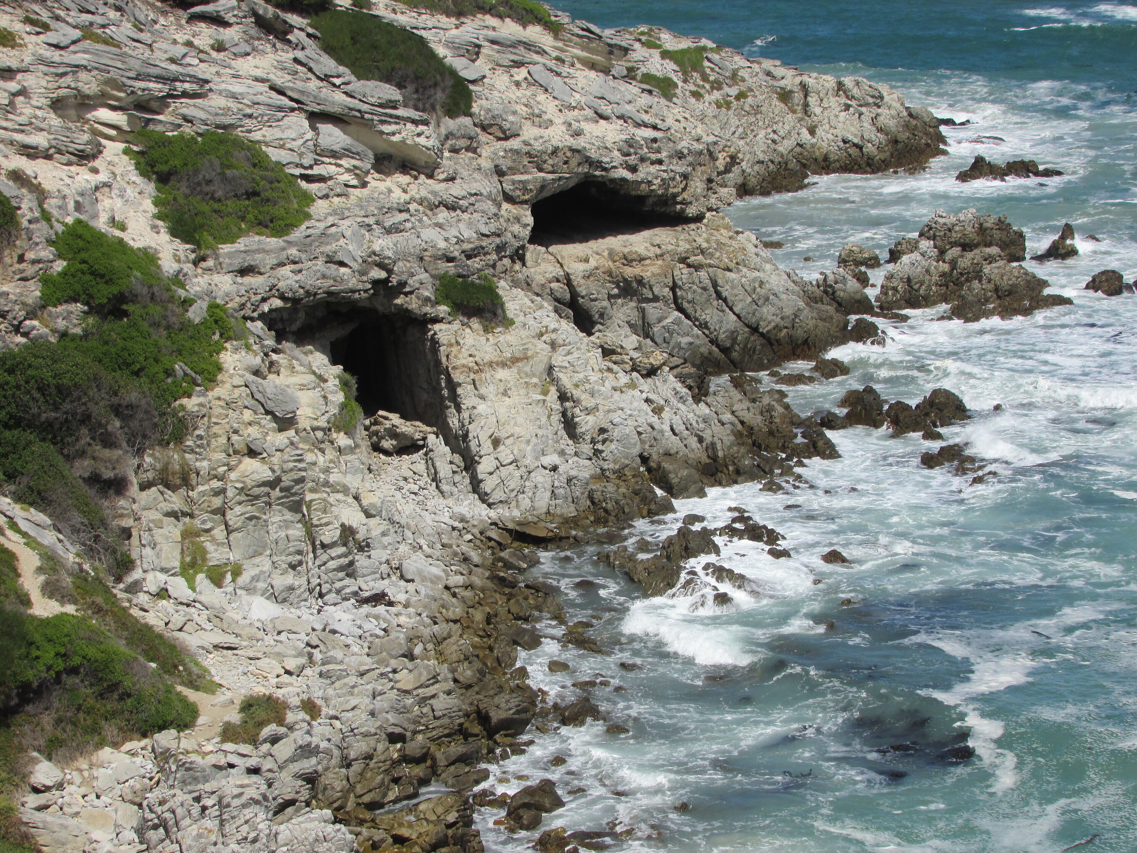 Whale Watch Accommodation