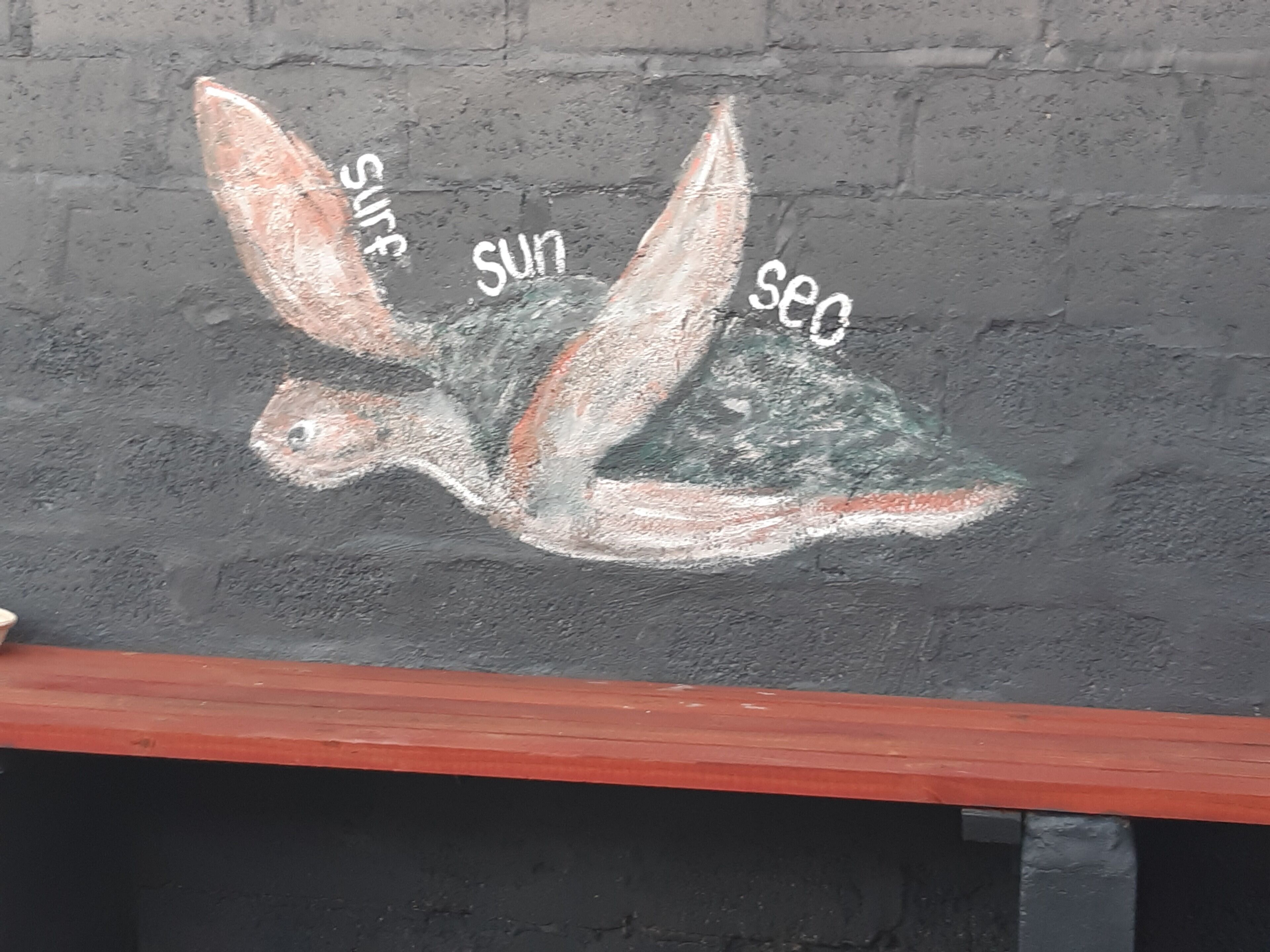 Whale Watch Accommodation