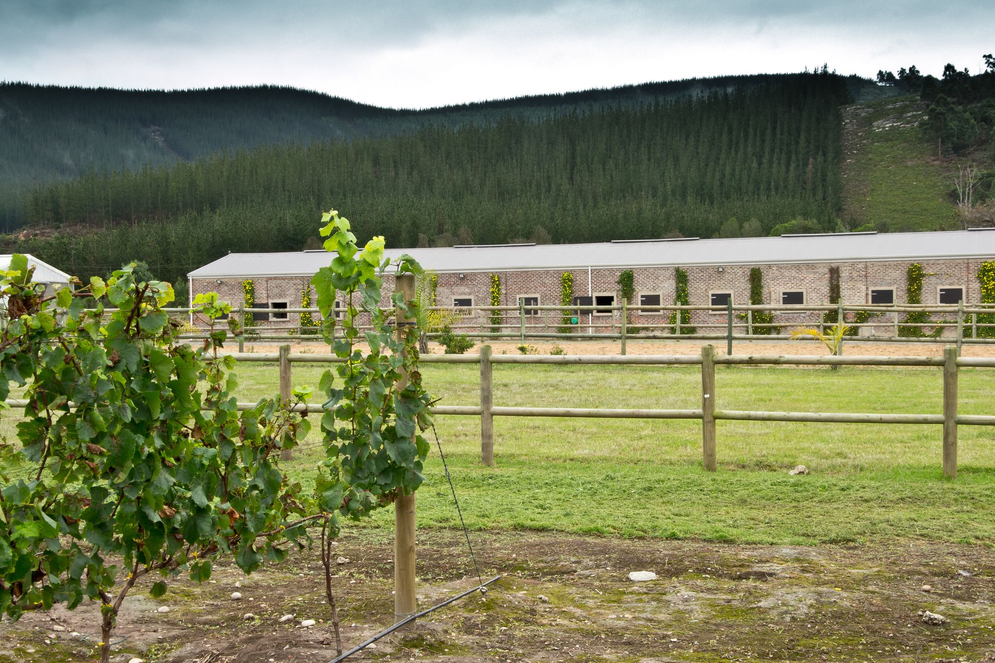 Rare Earth Country House
