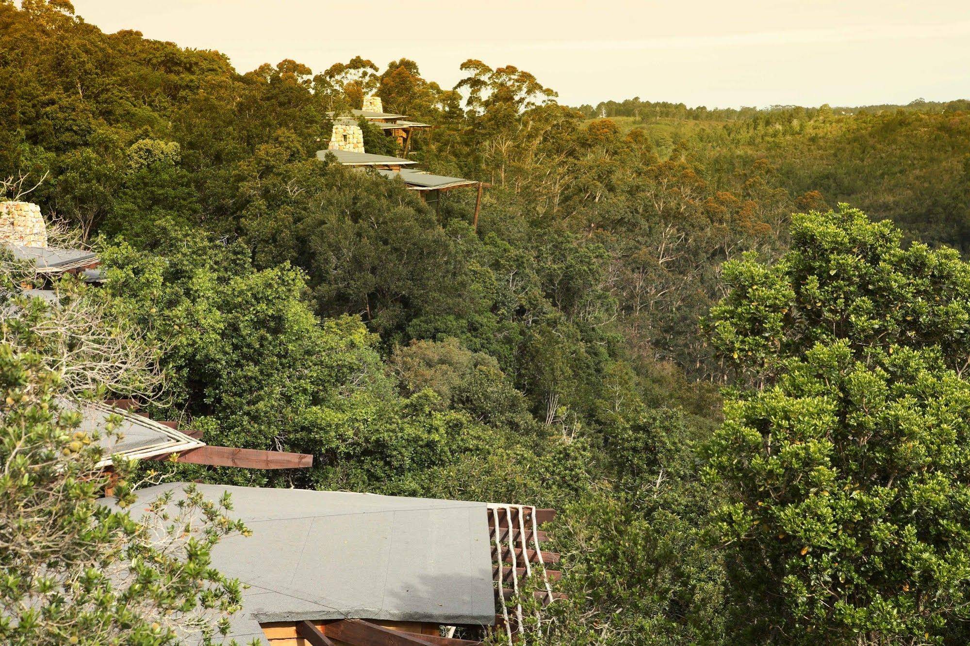 Tsala Treetop Lodge