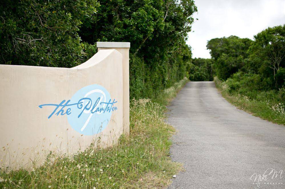 The Plantation