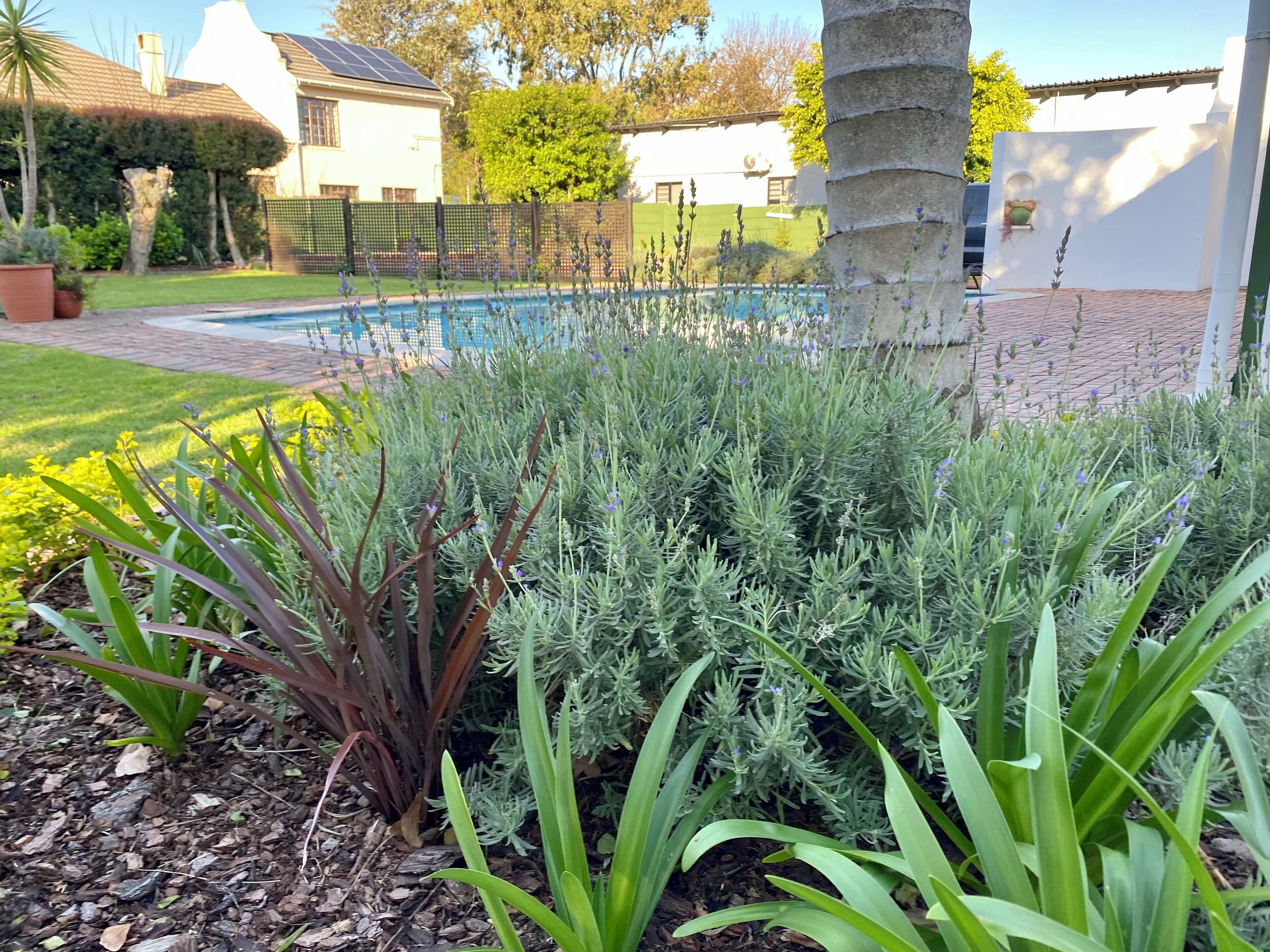 Whistlewood Guest House