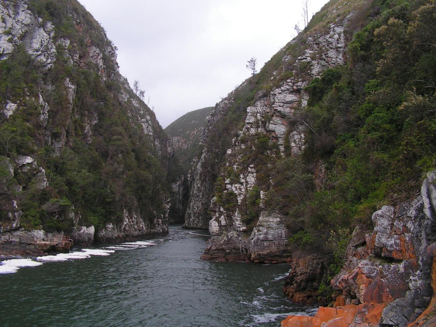 Fijnbosch Cottage and Camping
