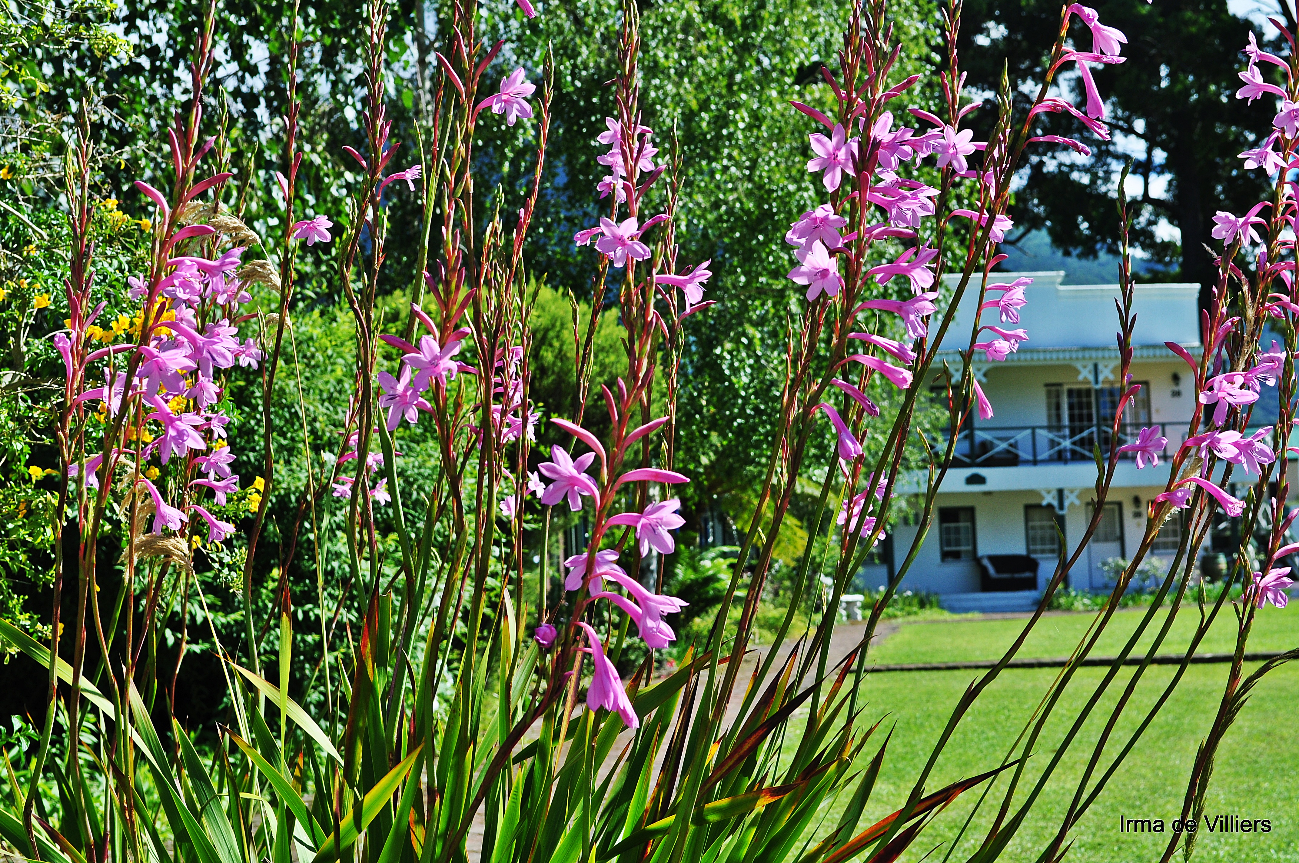 Tsitsikamma Village Inn