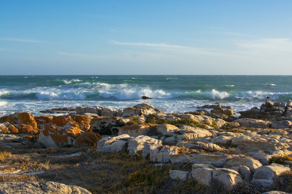 Blonds Blessings Struisbaai
