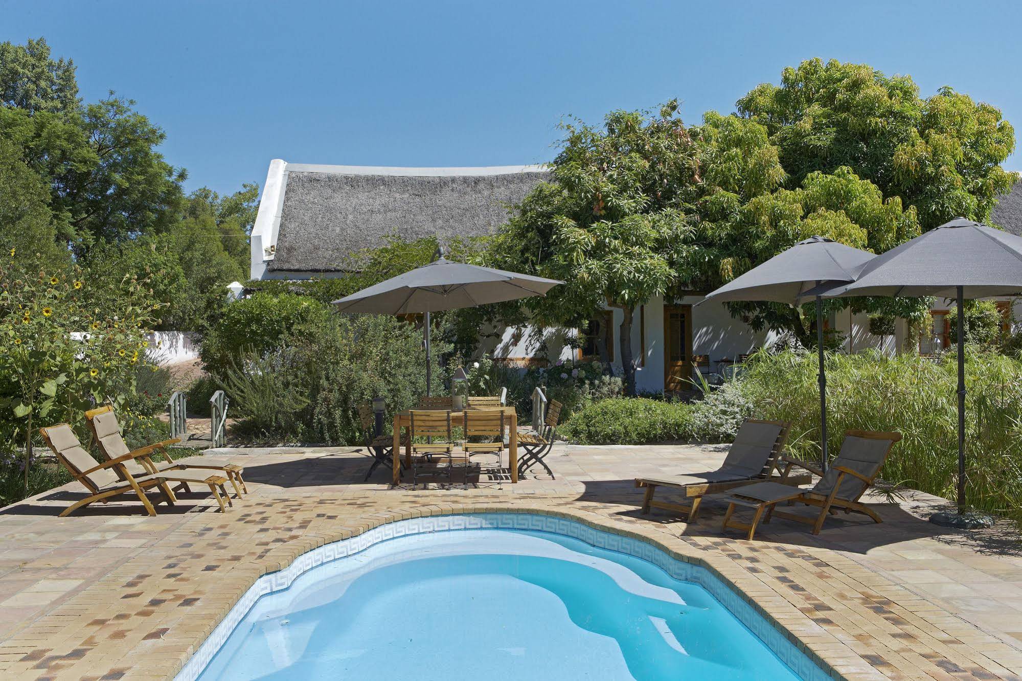 Yellow Aloe Guesthouse