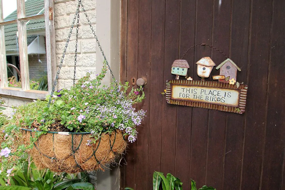 Camu-Camu Bed And Breakfast