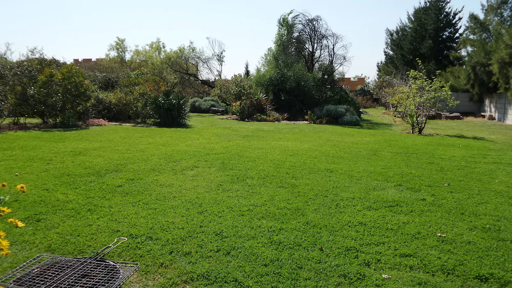 Deo Gratia Guest House