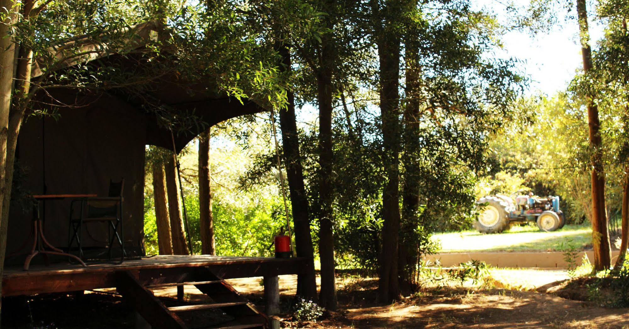 Kunguru Lodge