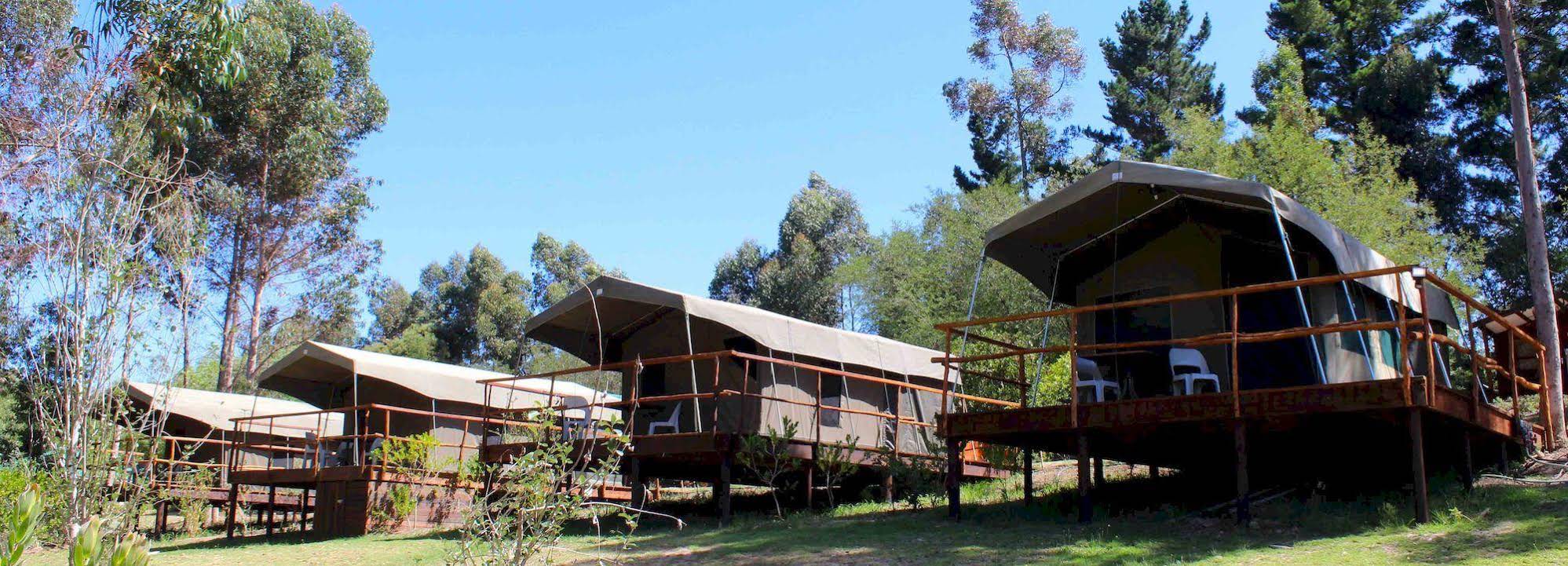 Kunguru Lodge