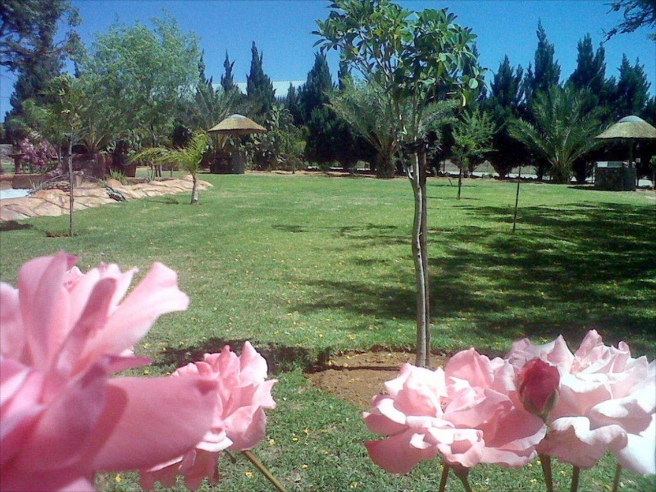 Oasis Country Lodge