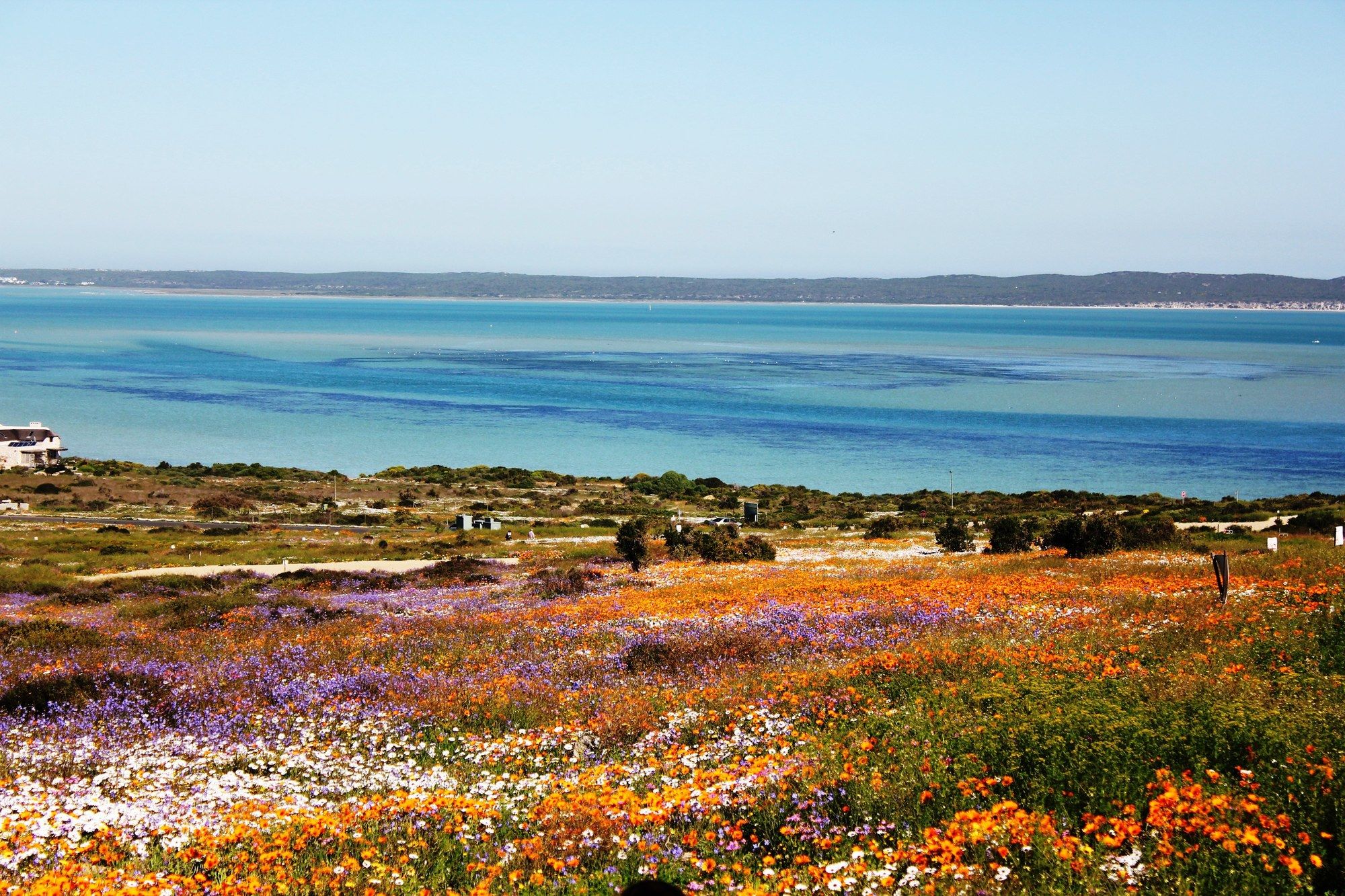 Langebaan Holiday Homes