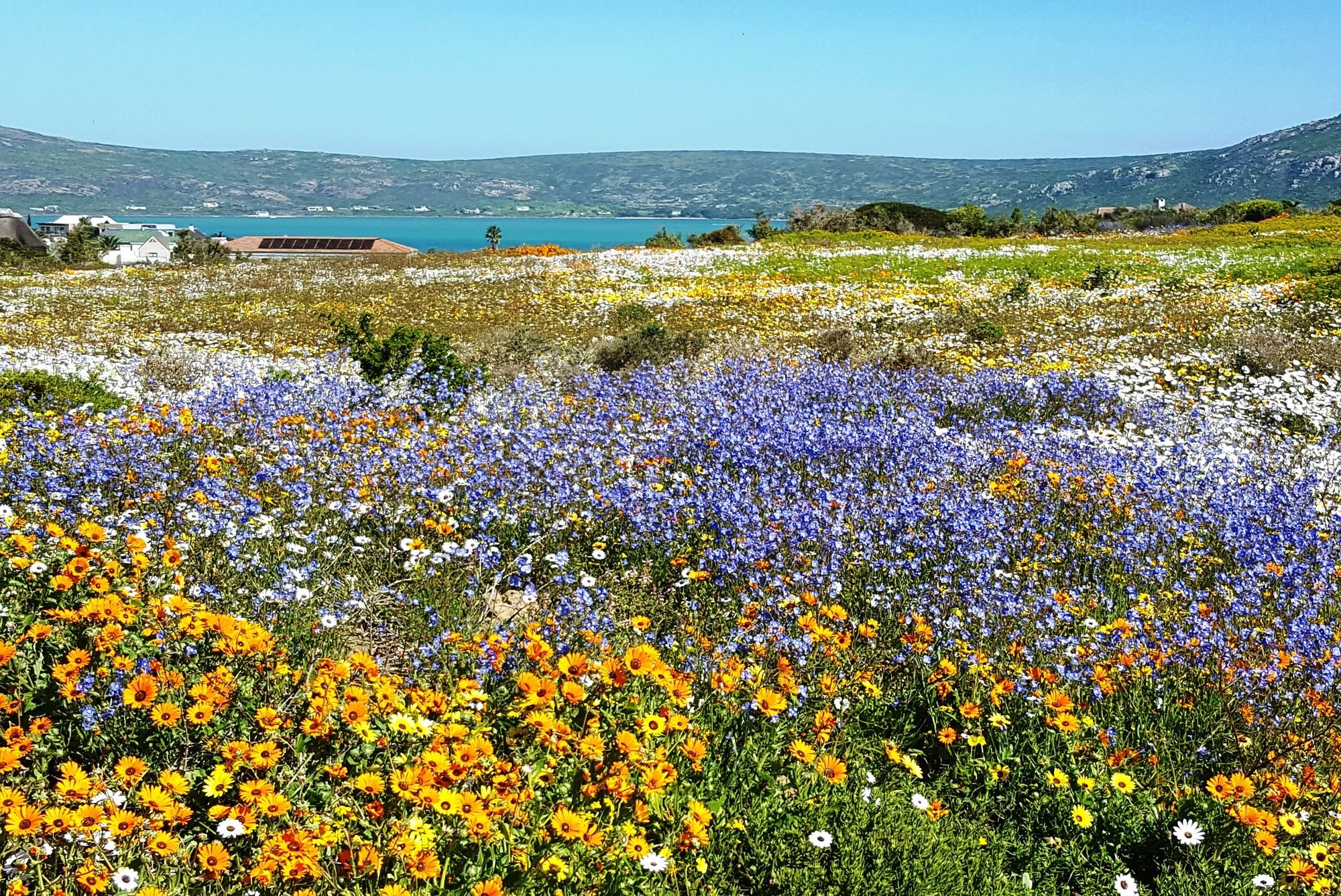 Langebaan Holiday Homes