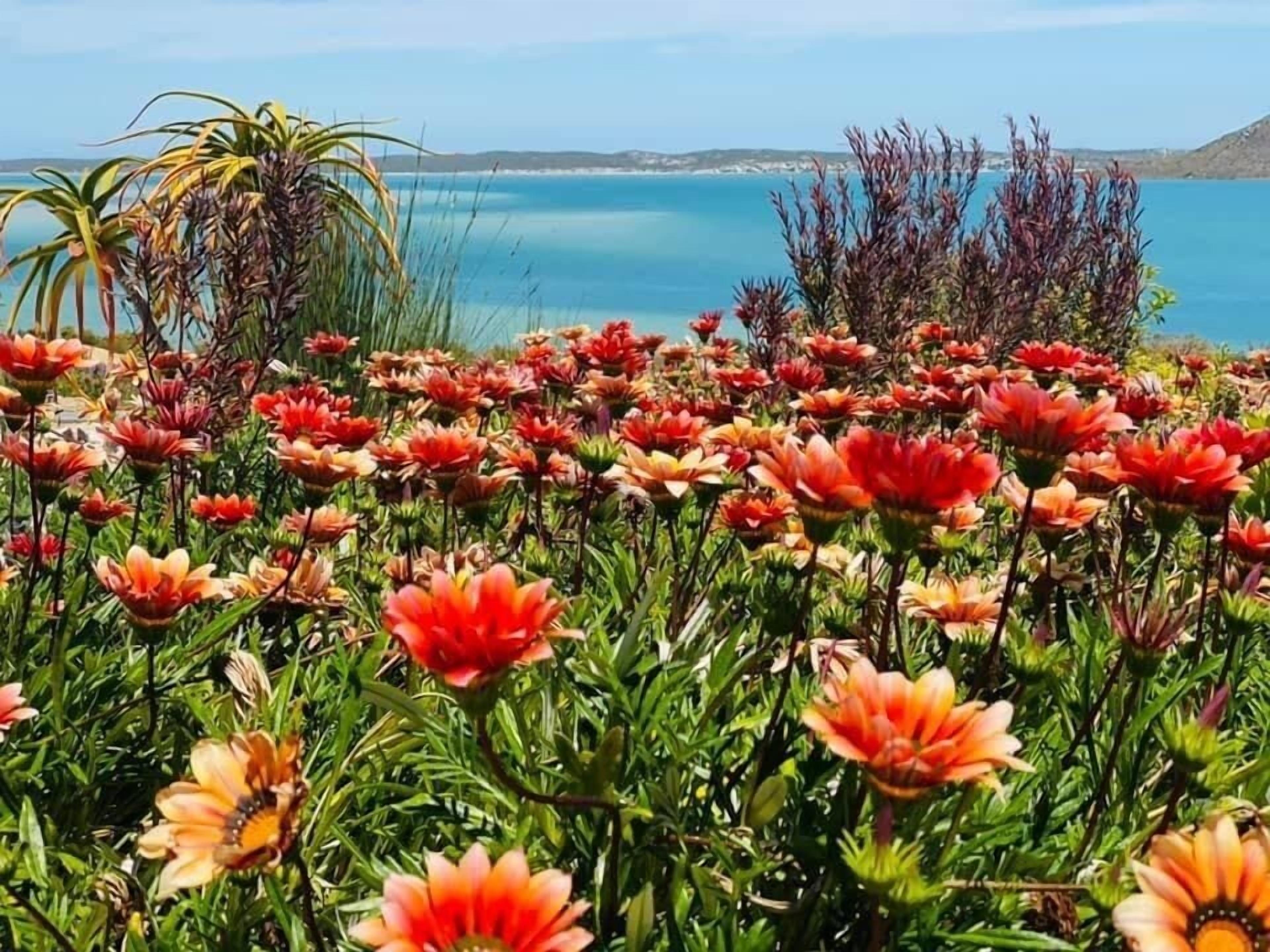 The Shark Bay Boutique Hotel & Spa