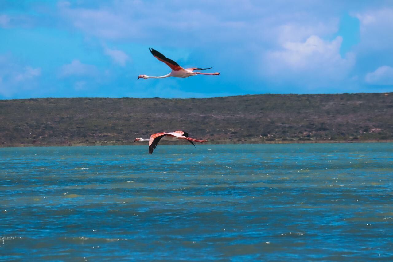 The Shark Bay Boutique Hotel & Spa