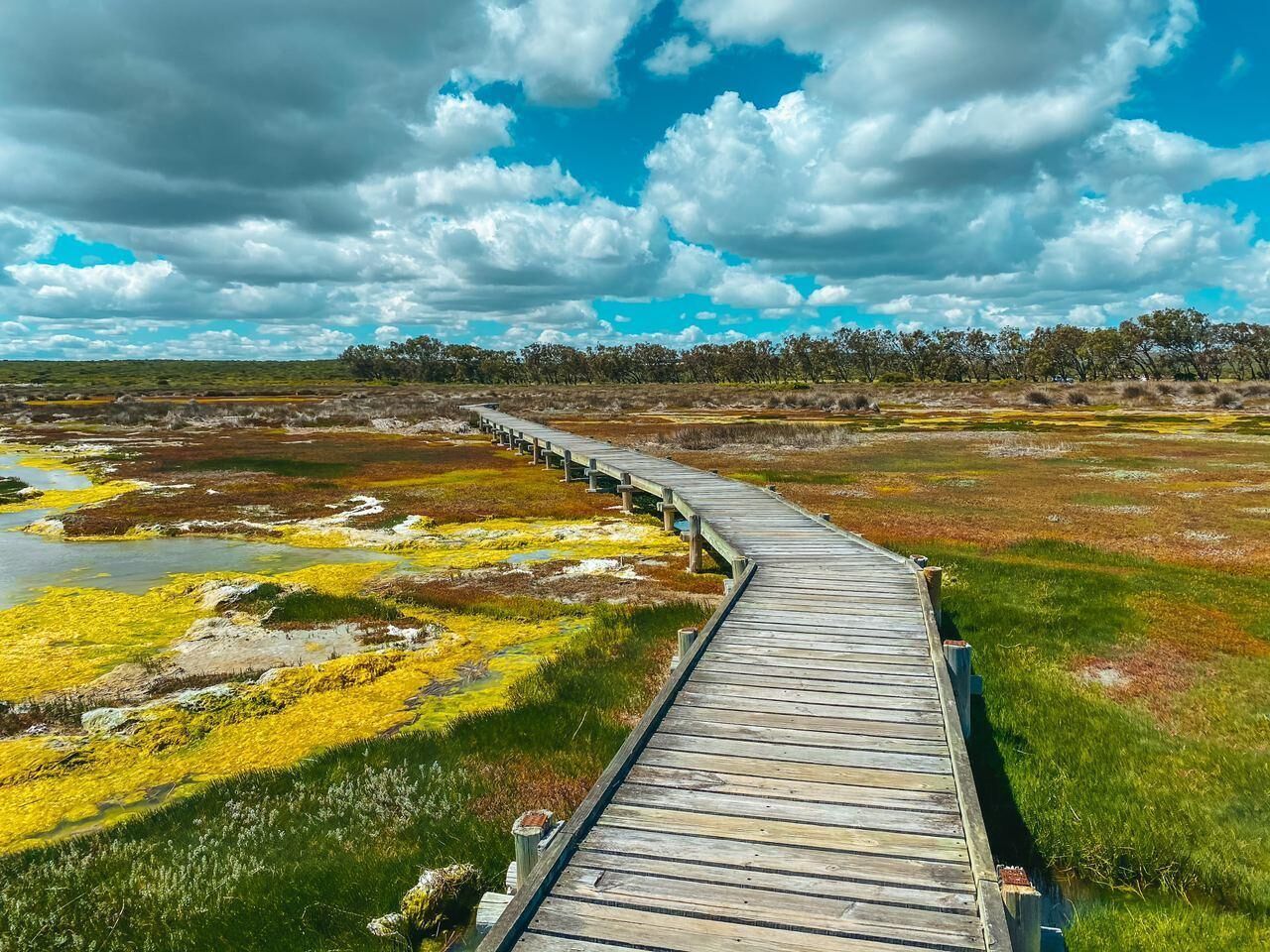 The Shark Bay Boutique Hotel & Spa