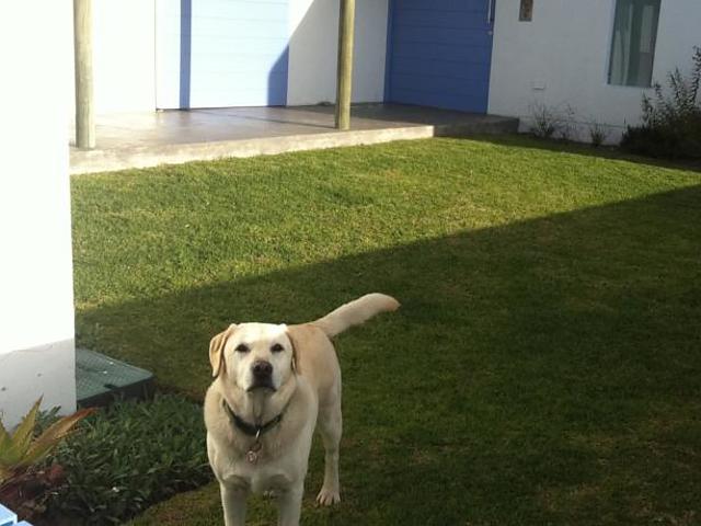 Zula Beach House And Cottage