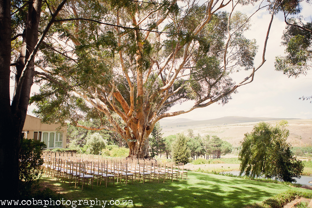 Blue Gum Country Estate
