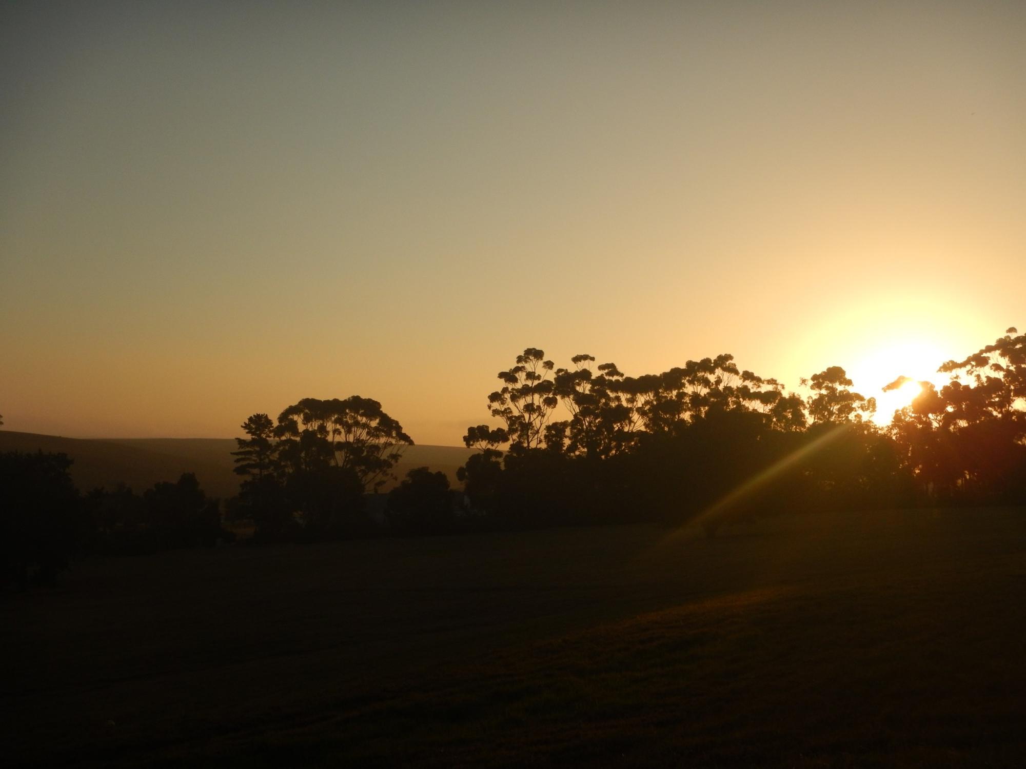 Blue Gum Country Estate