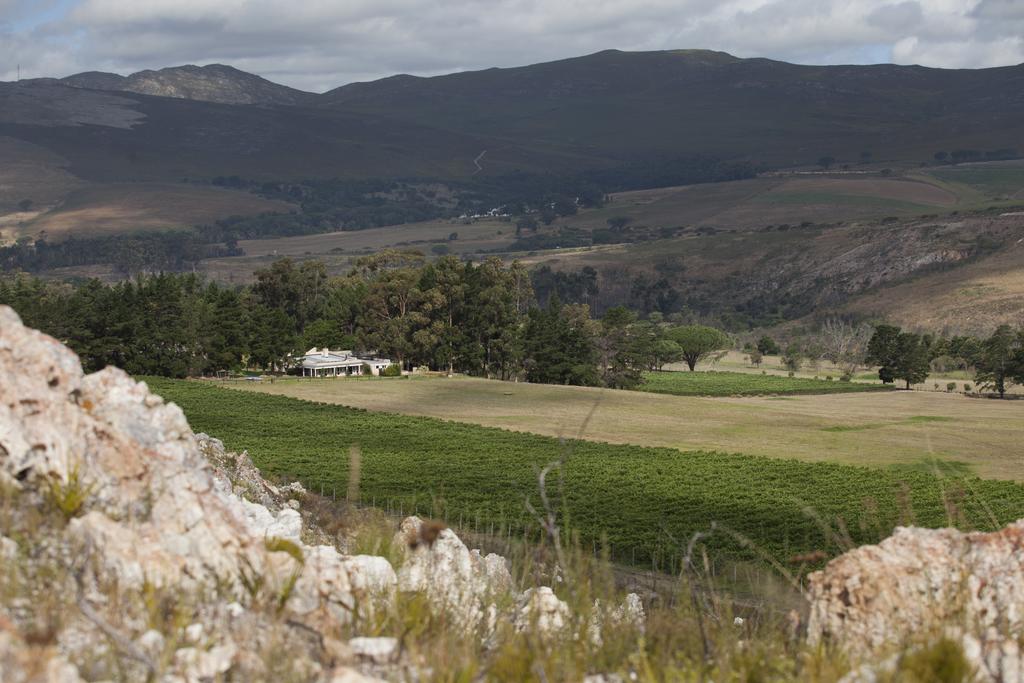 Blue Gum Country Estate