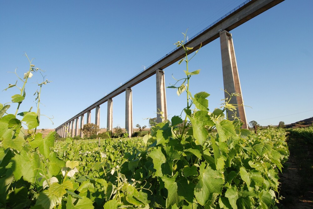 Melkboomsdrift Guest Lodge and Conference Centre