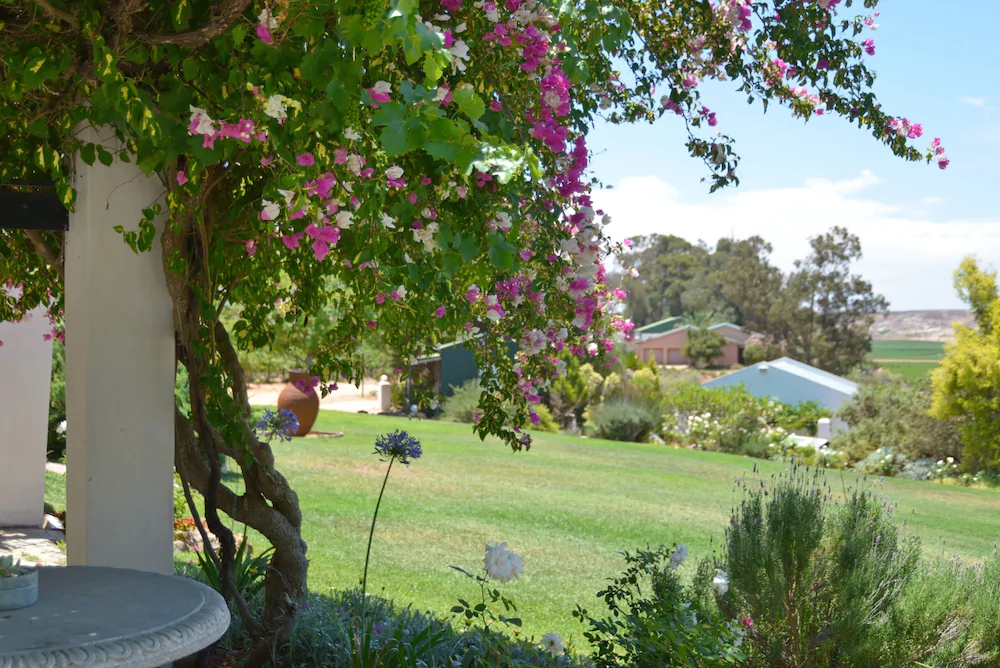 Melkboomsdrift Guest Lodge and Conference Centre