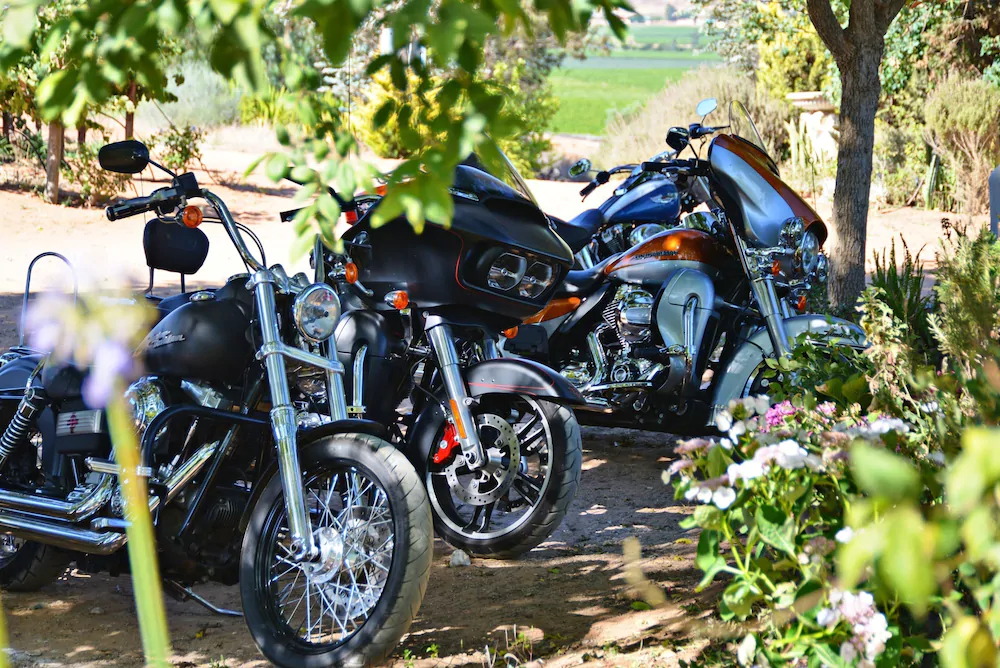 Melkboomsdrift Guest Lodge and Conference Centre