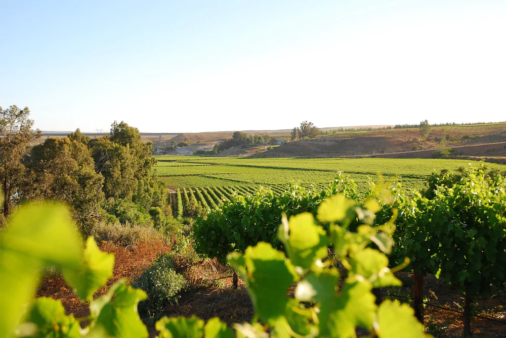 Melkboomsdrift Guest Lodge and Conference Centre