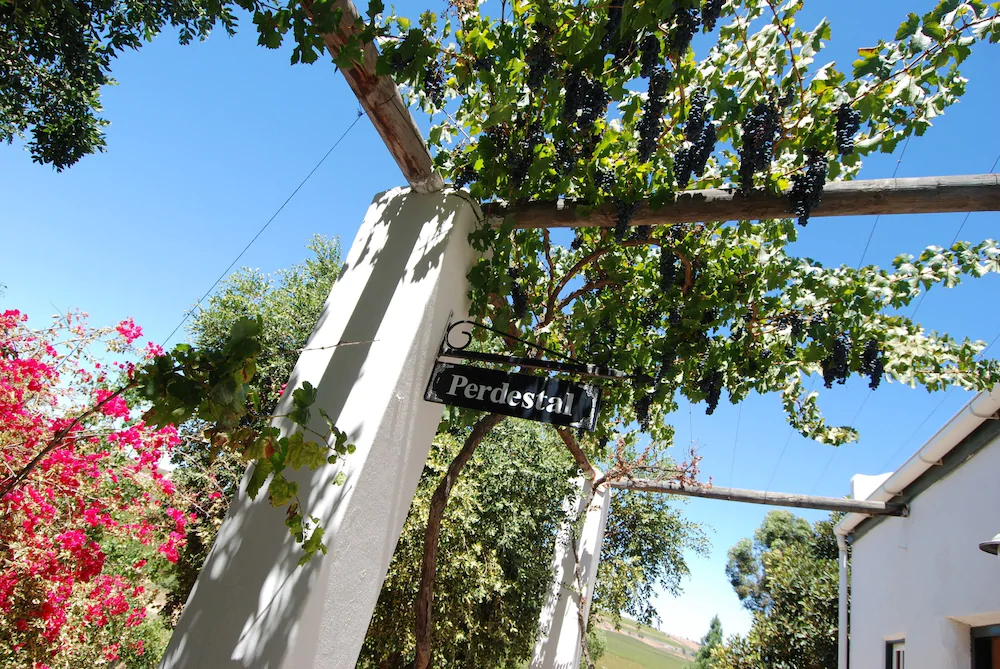 Melkboomsdrift Guest Lodge and Conference Centre