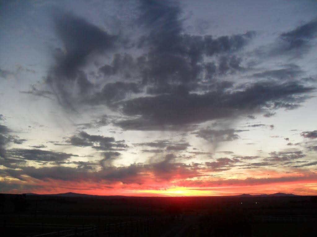 Paarl Diamant Equestrian and Guest Farm
