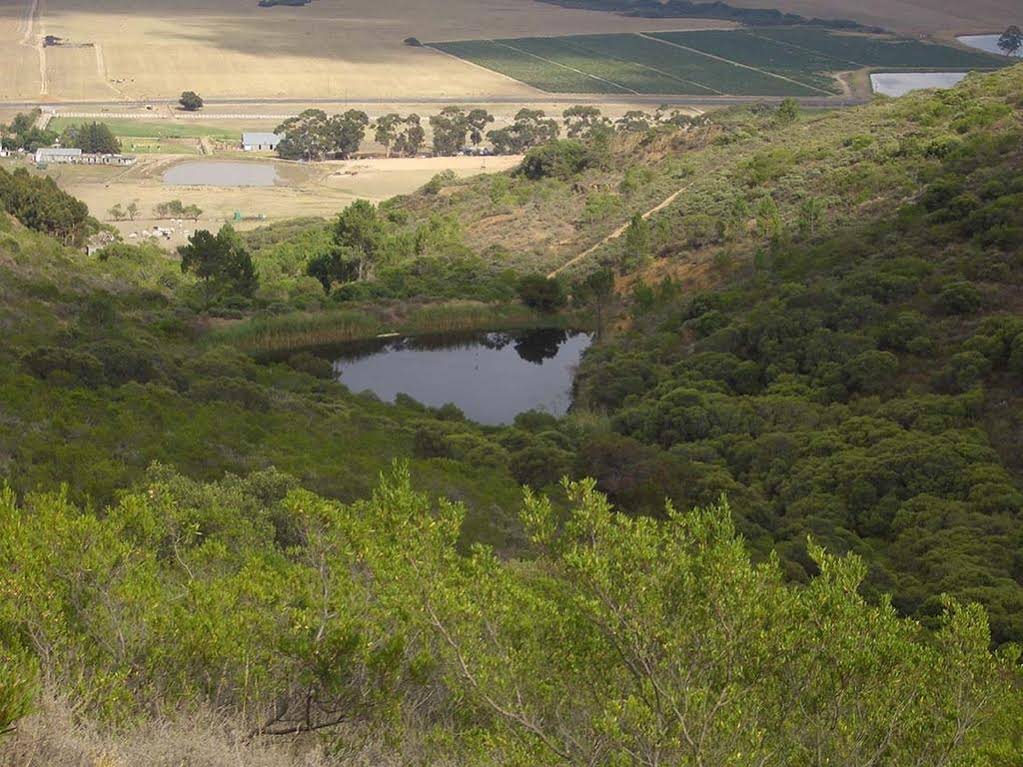 Paarl Diamant Equestrian and Guest Farm