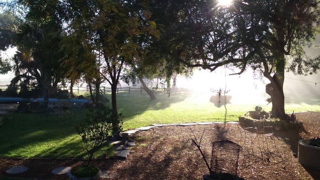 Paarl Diamant Equestrian and Guest Farm