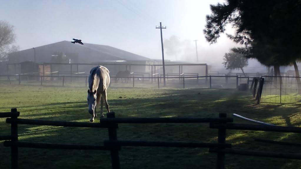 Paarl Diamant Equestrian and Guest Farm