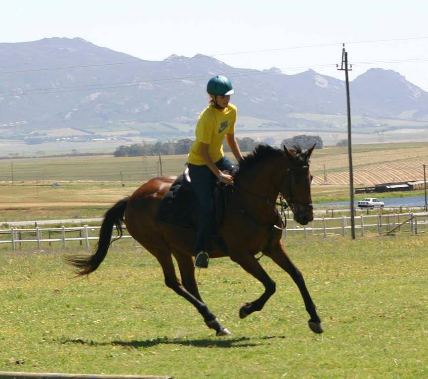 Paarl Diamant Equestrian and Guest Farm
