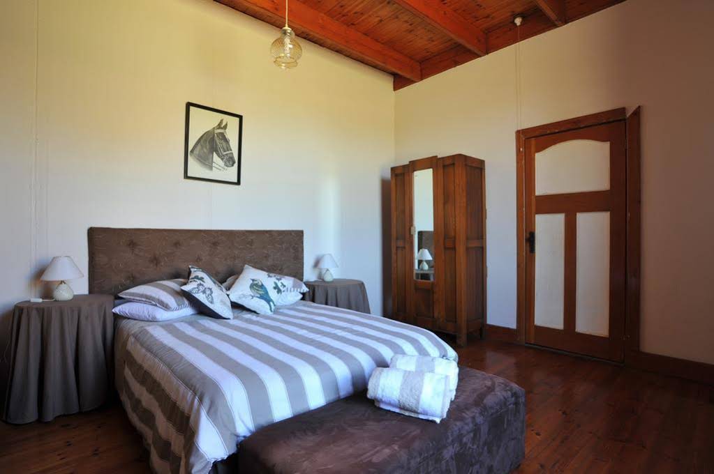 Paarl Diamant Equestrian and Guest Farm