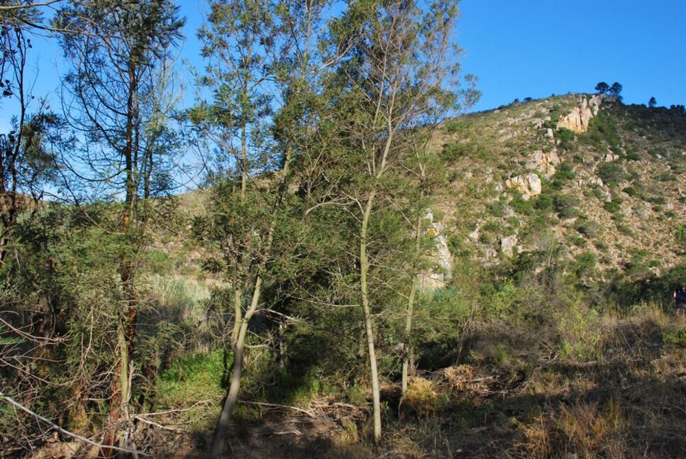 Avani Lodge Private Nature Reserve