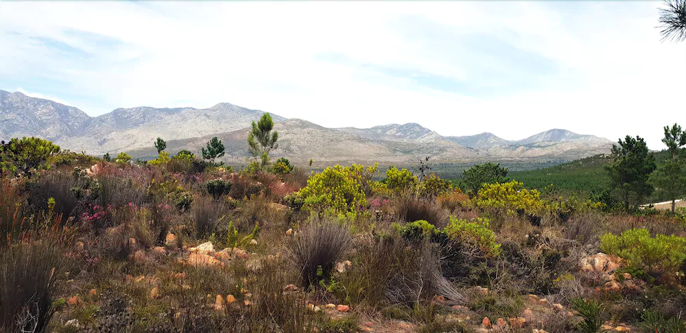 Avani Lodge Private Nature Reserve
