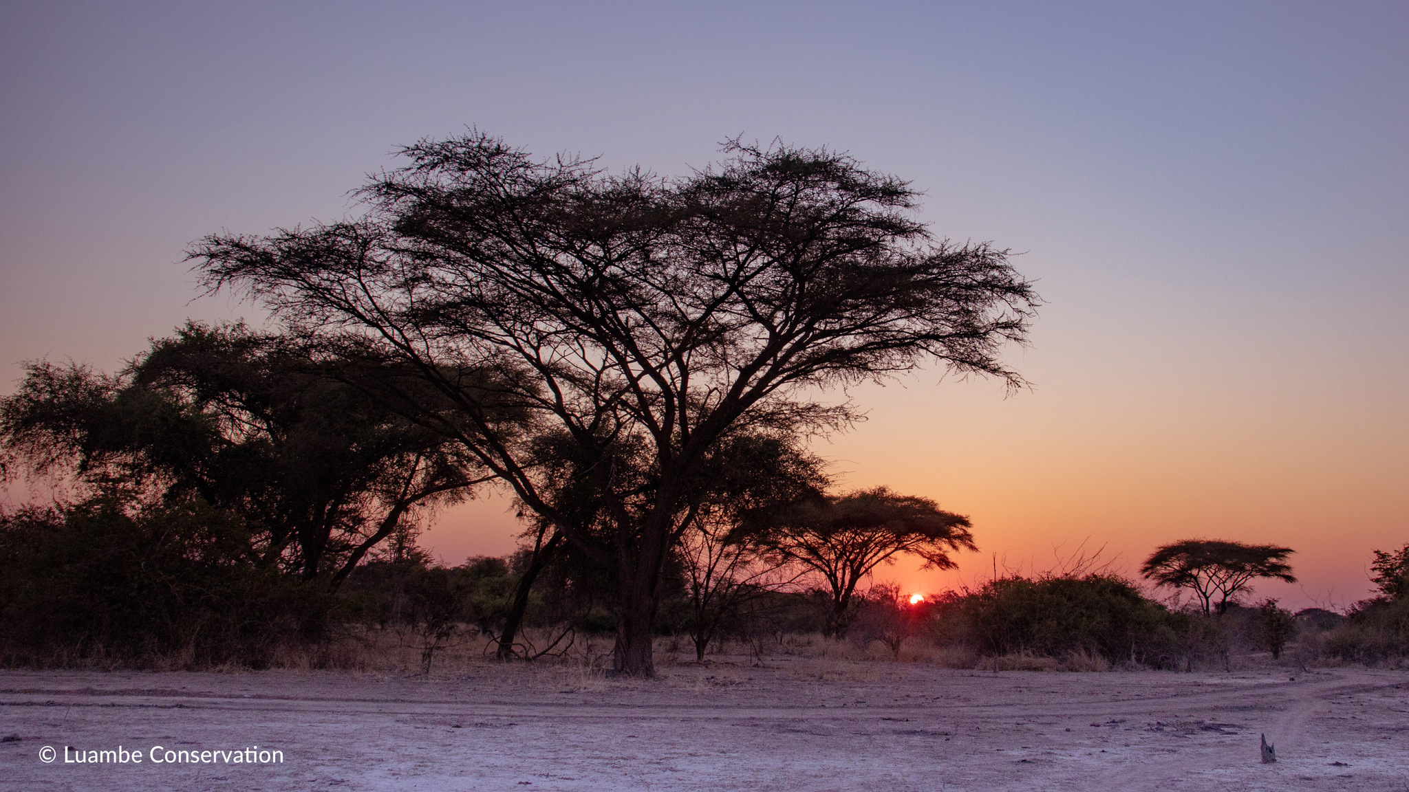 Luambe Camp