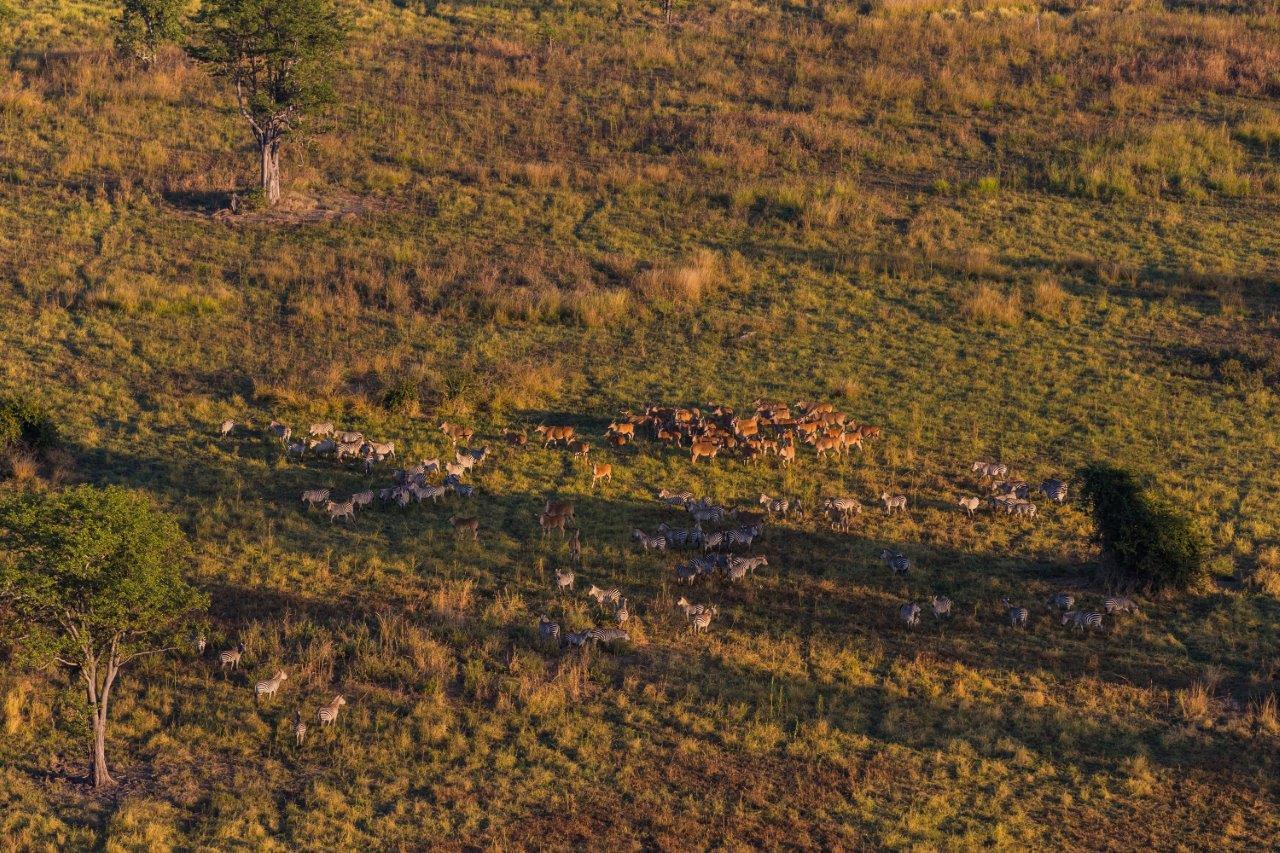 Luambe Camp