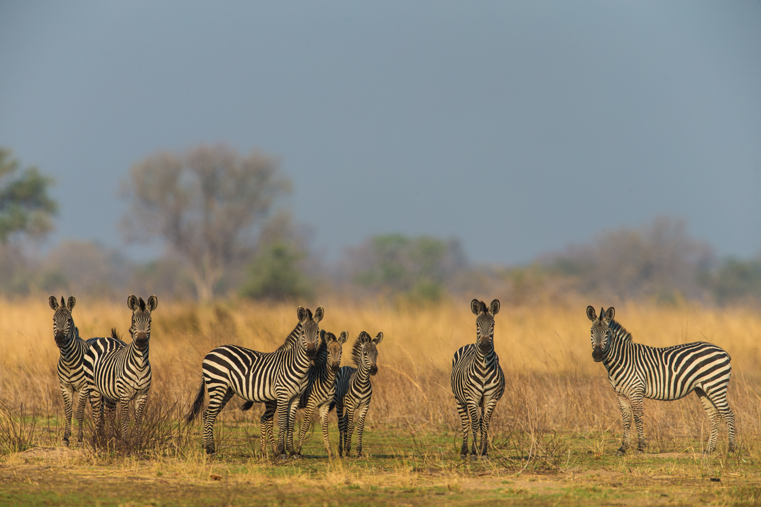 Luambe Camp