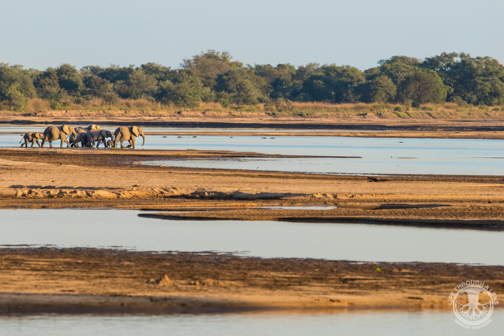 Luambe Camp